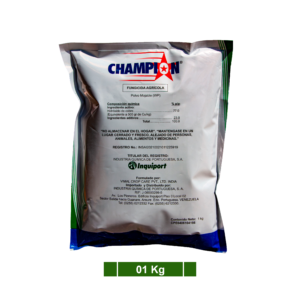 CHAMPION