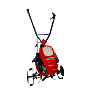 MOTOAZADA YANMAR QT-30