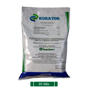 KURATOR