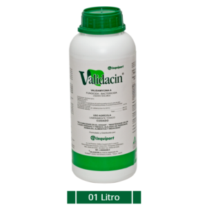 VALIDACIN