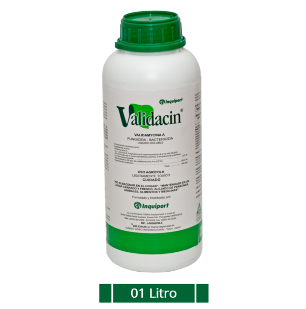 VALIDACIN