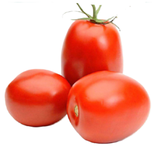 TOMATE TIPO SALADETTE HIBRIDO