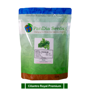 CILANTRO ROYAL PREMIUM