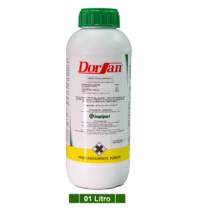 DORSAN
