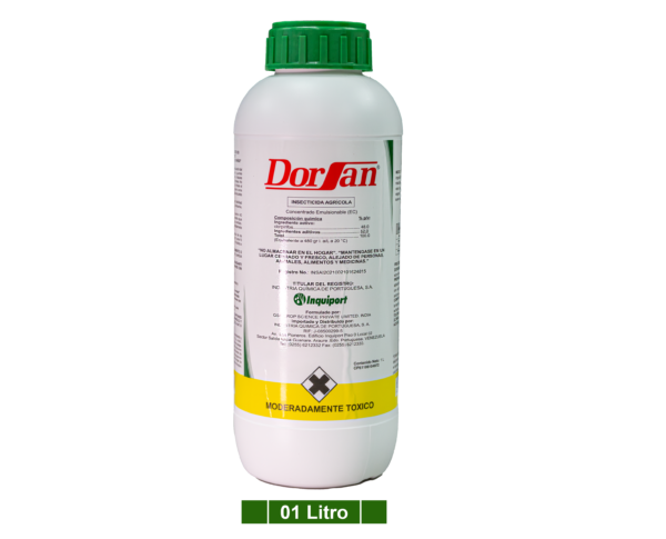 DORSAN