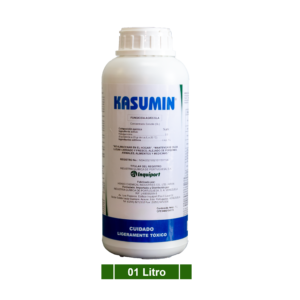 KASUMIN