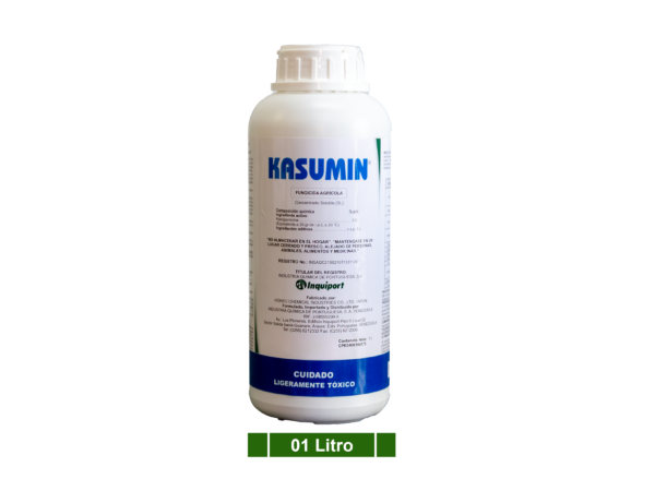 KASUMIN